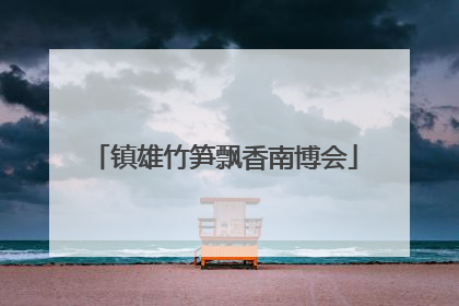 镇雄竹笋飘香南博会