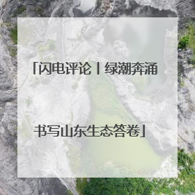 闪电评论丨绿潮奔涌 书写山东生态答卷