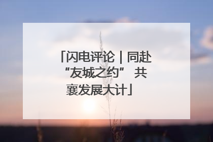 闪电评论｜同赴“友城之约” 共襄发展大计