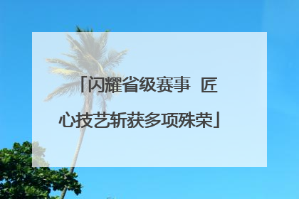 闪耀省级赛事  匠心技艺斩获多项殊荣