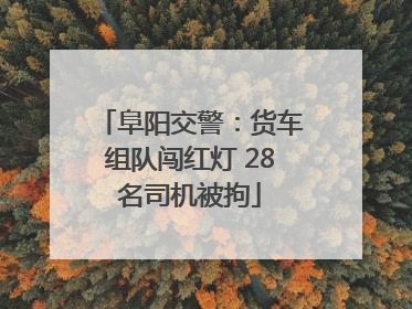 阜阳交警：货车组队闯红灯 28名司机被拘