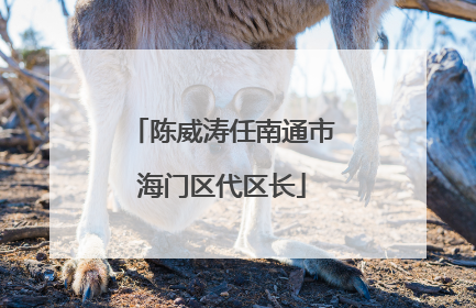 陈威涛任南通市海门区代区长