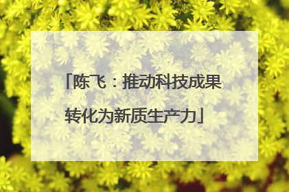 陈飞：推动科技成果转化为新质生产力