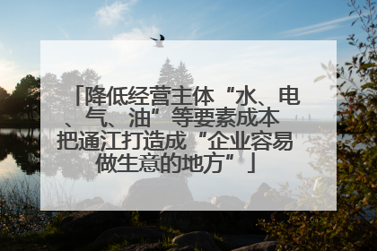 降低经营主体“水、电、气、油”等要素成本 把通江打造成“企业容易做生意的地方”