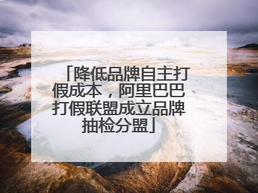 降低品牌自主打假成本，阿里巴巴打假联盟成立品牌抽检分盟