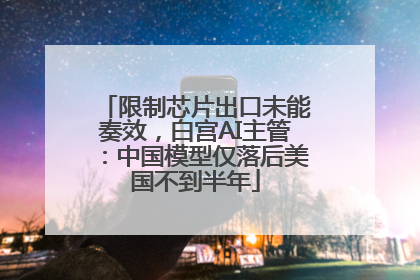 限制芯片出口未能奏效，白宫AI主管：中国模型仅落后美国不到半年