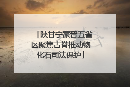 陕甘宁蒙晋五省区聚焦古脊椎动物化石司法保护