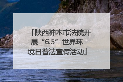 陕西神木市法院开展“6.5”世界环境日普法宣传活动