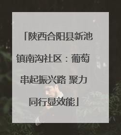 陕西合阳县新池镇南沟社区：葡萄串起振兴路 聚力同行显效能