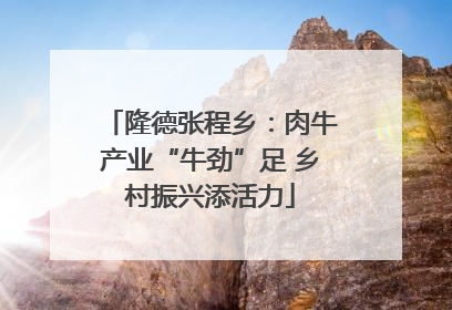 隆德张程乡：肉牛产业“牛劲”足 乡村振兴添活力