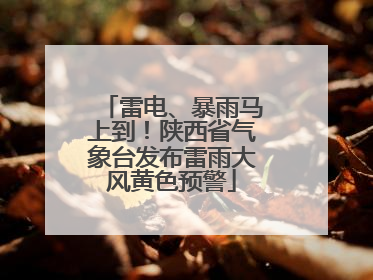 雷电、暴雨马上到！陕西省气象台发布雷雨大风黄色预警