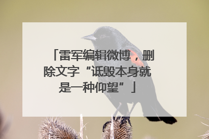 雷军编辑微博，删除文字“诋毁本身就是一种仰望”