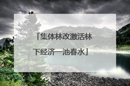 集体林改激活林下经济一池春水