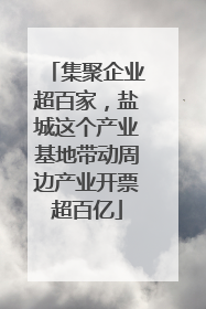 集聚企业超百家，盐城这个产业基地带动周边产业开票超百亿
