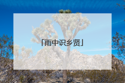 雨中识乡贤