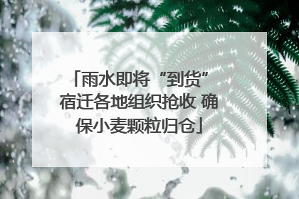 雨水即将“到货” 宿迁各地组织抢收 确保小麦颗粒归仓