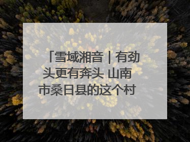 雪域湘音｜有劲头更有奔头 山南市桑日县的这个村落迎来蜕变