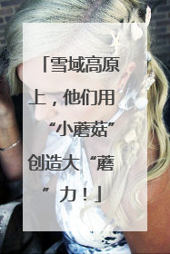 雪域高原上，他们用“小蘑菇”创造大“蘑”力！