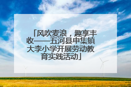 风吹麦浪，趣享丰收——五河县申集镇大李小学开展劳动教育实践活动