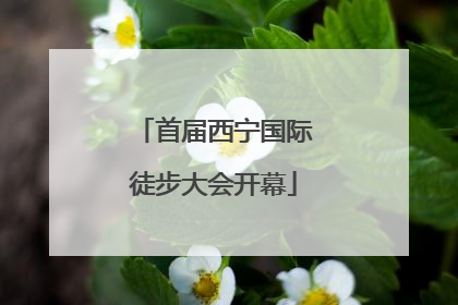 首届西宁国际徒步大会开幕