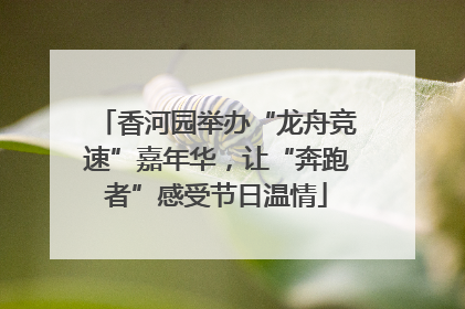 香河园举办“龙舟竞速”嘉年华，让“奔跑者”感受节日温情