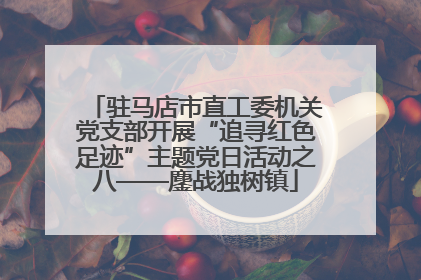 驻马店市直工委机关党支部开展“追寻红色足迹”主题党日活动之八——鏖战独树镇