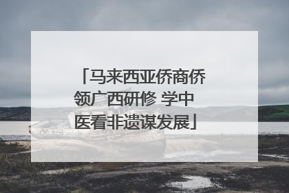 马来西亚侨商侨领广西研修 学中医看非遗谋发展