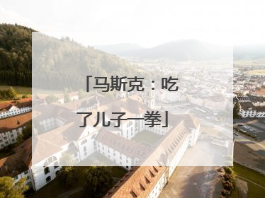 马斯克：吃了儿子一拳