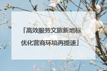 高效服务文旅新地标 优化营商环境再提速
