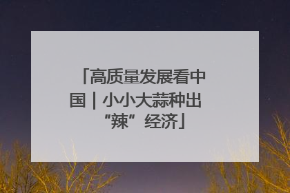 高质量发展看中国｜小小大蒜种出“辣”经济