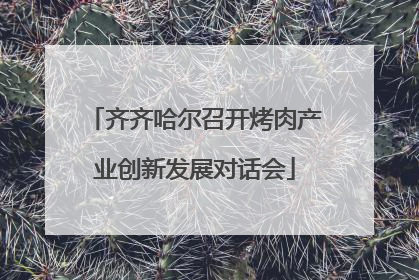 齐齐哈尔召开烤肉产业创新发展对话会