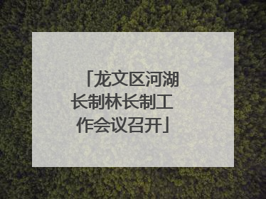龙文区河湖长制林长制工作会议召开