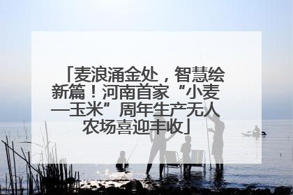 麦浪涌金处，智慧绘新篇！河南首家“小麦—玉米”周年生产无人农场喜迎丰收