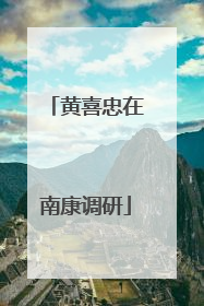 黄喜忠在南康调研
