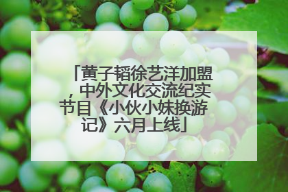 黄子韬徐艺洋加盟，中外文化交流纪实节目《小伙小妹换游记》六月上线