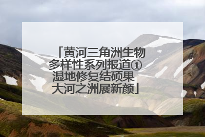 黄河三角洲生物多样性系列报道①湿地修复结硕果 大河之洲展新颜