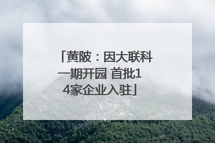 黄陂：因大联科一期开园 首批14家企业入驻