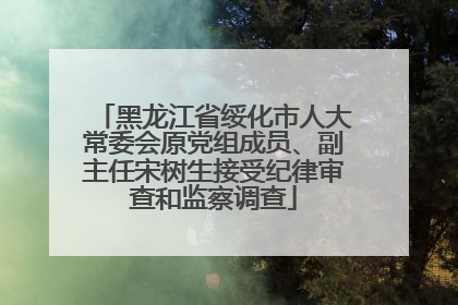 黑龙江省绥化市人大常委会原党组成员、副主任宋树生接受纪律审查和监察调查