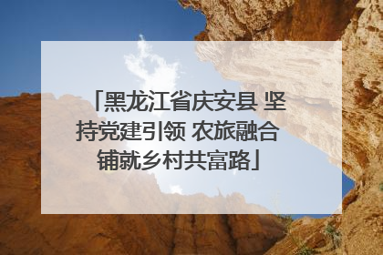 黑龙江省庆安县 坚持党建引领 农旅融合铺就乡村共富路