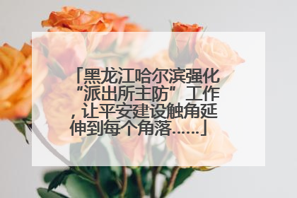 黑龙江哈尔滨强化“派出所主防”工作，让平安建设触角延伸到每个角落……