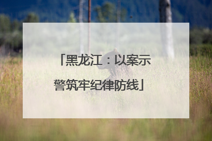 黑龙江：以案示警筑牢纪律防线