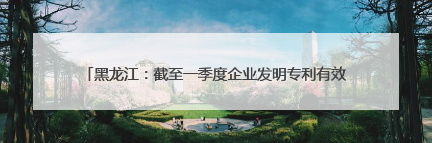 黑龙江：截至一季度企业发明专利有效量为1.8万件 同比增长10.6%