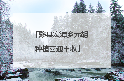 黟县宏潭乡元胡种植喜迎丰收