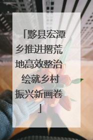 黟县宏潭乡推进撂荒地高效整治 绘就乡村振兴新画卷