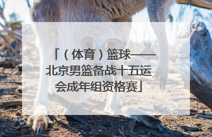 （体育）篮球——北京男篮备战十五运会成年组资格赛