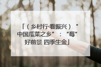（乡村行·看振兴）“中国瓜菜之乡”：“莓”好前景 四季生金