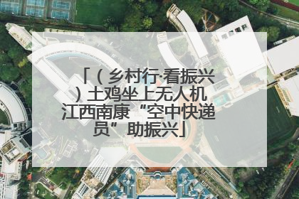 （乡村行·看振兴）土鸡坐上无人机 江西南康“空中快递员”助振兴
