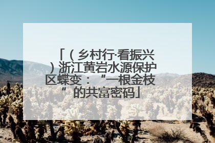 （乡村行·看振兴）浙江黄岩水源保护区蝶变：“一根金枝”的共富密码