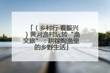 （乡村行·看振兴）黄河渔村玩转“渔文旅”：耕稼陶渔里的乡野生活