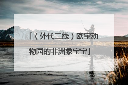（外代二线）欧宝动物园的非洲象宝宝